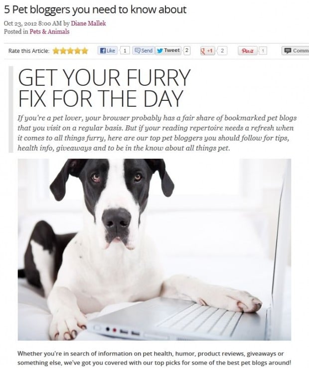 ComeWagAlong.com - 5 Pet bloggers you need to know about - She Knows Pets