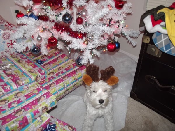 Petco Holiday Plush Reindeer Antlers & Ears - Christmas Dog Accessories