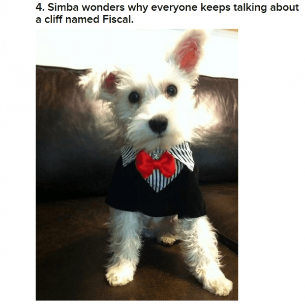 BuzzFeed.com 17 Dogs You Need To See Before The World Ends - PuppyStream.com