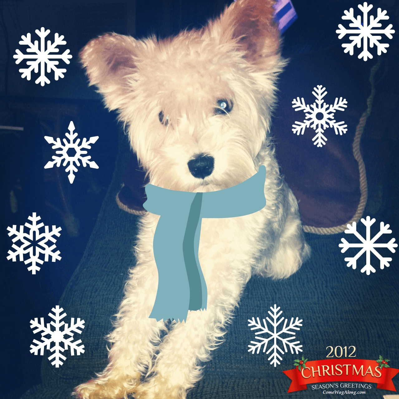 Seasons Greetings - Merry Christmas - Happy Holidays - Come Wag Along
