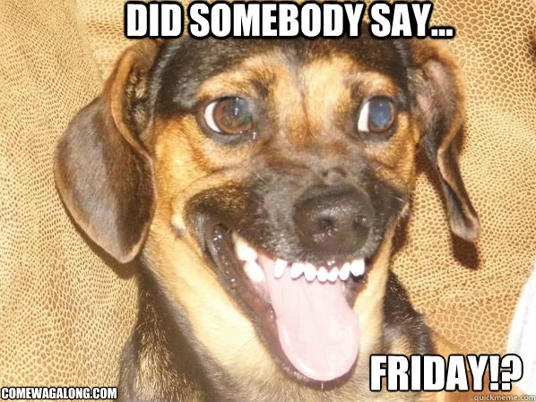 TGIF - Did Somebody Say Friday - ComeWagAlong - Dog Meme