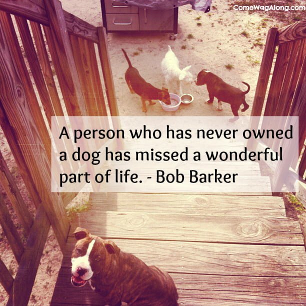 "A person who has never owned a dog has missed a wonderful part of life." - Bob Barker. 