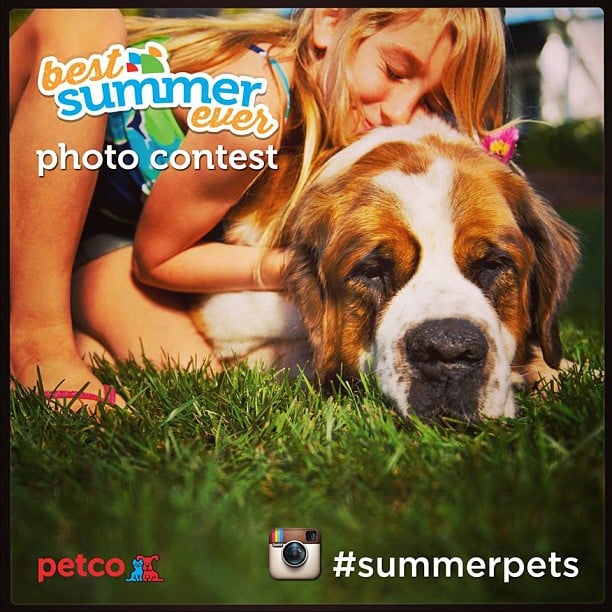 instagram photo contest