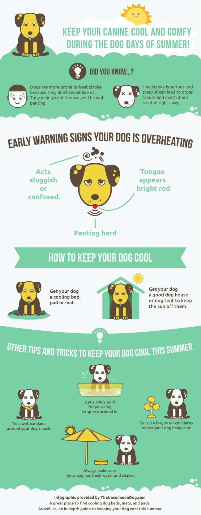 dog summer safety