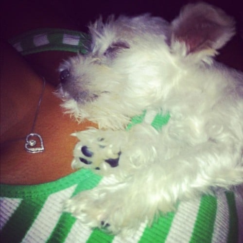 tired-sleep-wordless-wednesday