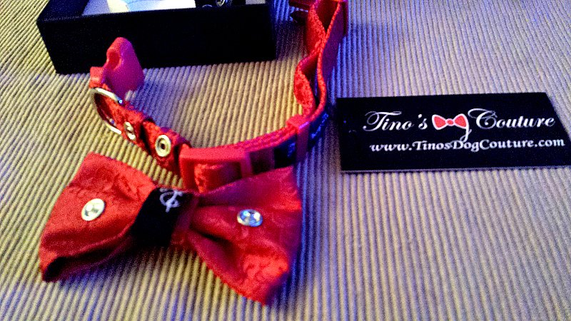 Tino's Dog Couture - Dog Bow Ties - Dog Bow Tie and Collar Set