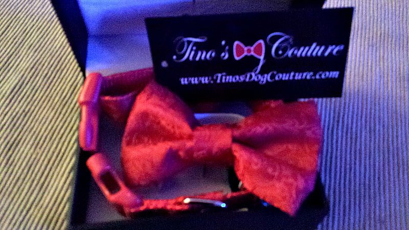 Tino's Dog Couture - Dog Bow Ties - Rouge Bow Tie and Collar Set