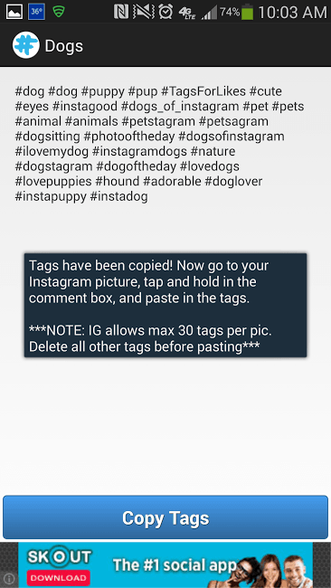 Popular Instagram Dog Hashtags - Tagstagram3