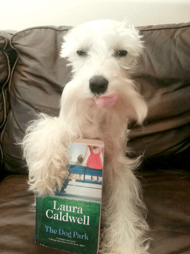 The Dog Park by Laura Caldwell Review