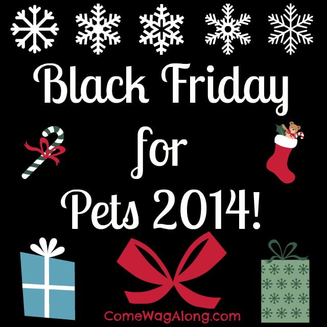 black friday for pets 
