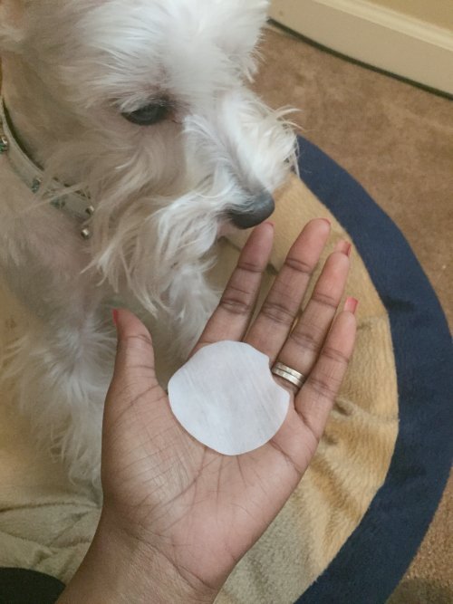 Viva La Dog Spa Dog Facial Wipes Size