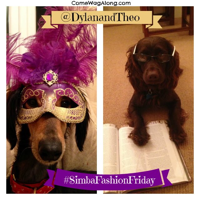 Dylan & Theo featured for Simba #FashionFriday at ComeWagAlong.com! Wanna be featured? Tag your pet photos on Instagram with #SimbaFashionFriday!