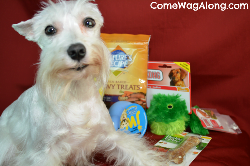 PawPals With Annie Dog Gift Box Review + Coupon Code