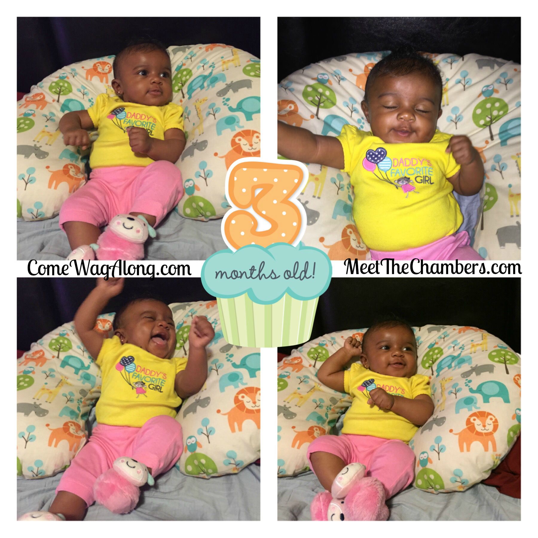 Baby Update: 3 months - ComeWagAlong.com