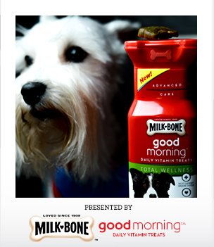 #MilkBoneMorning - ComeWagAlong.com