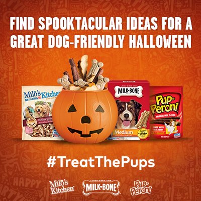 Treat The Pups DIY Halloween Ideas
