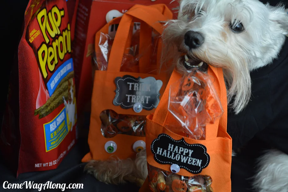 Halloween treat bag for dogs