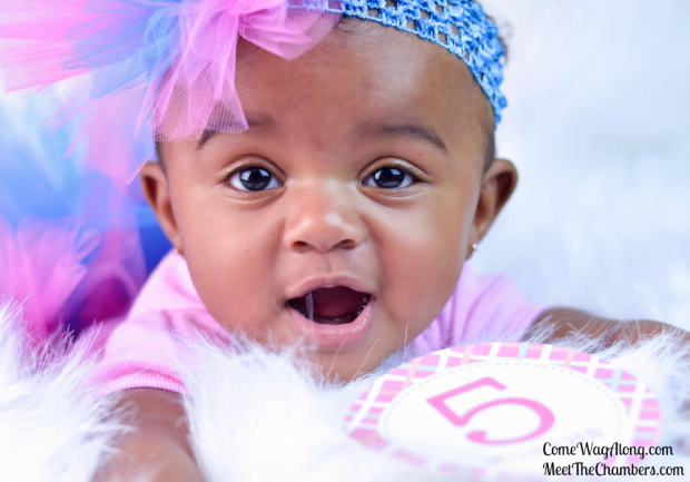 TuTu Cute By Angie - TuTu Skirts, TuTu Dresses ,hair accessories and more