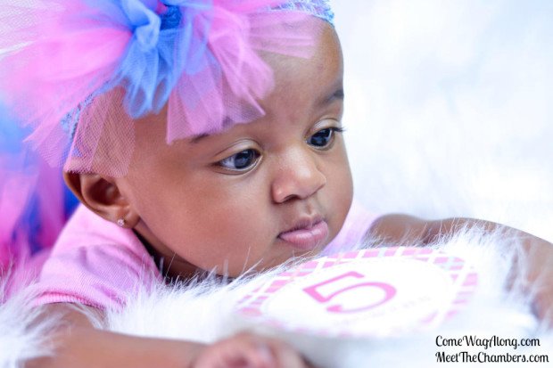 TuTu Cute By Angie - TuTu Skirts, TuTu Dresses ,hair accessories and more