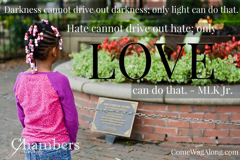 Hate cannot drive out hate - MLK Jr quote