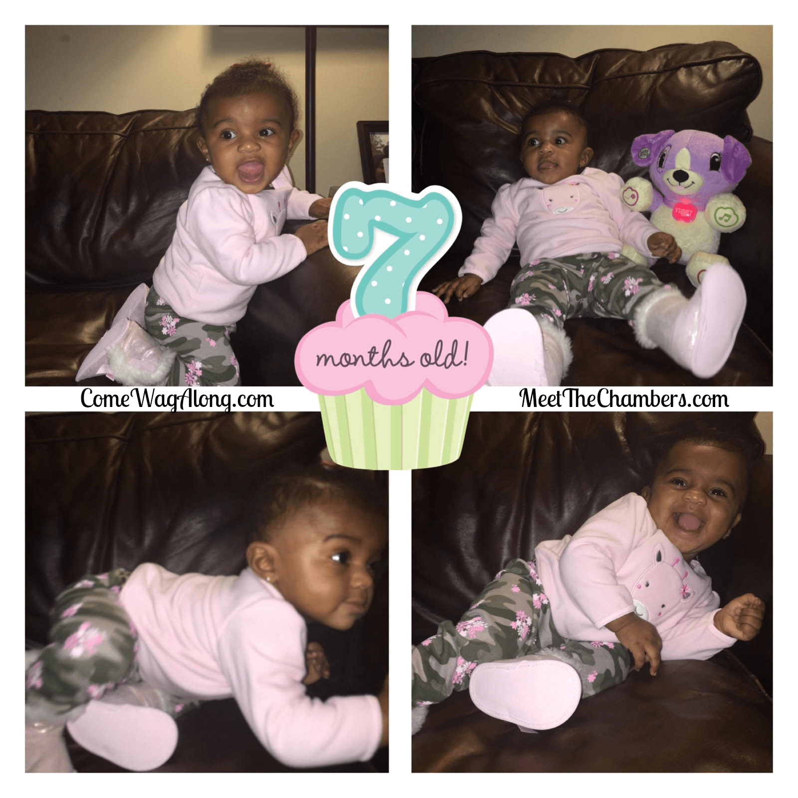 7 month baby update