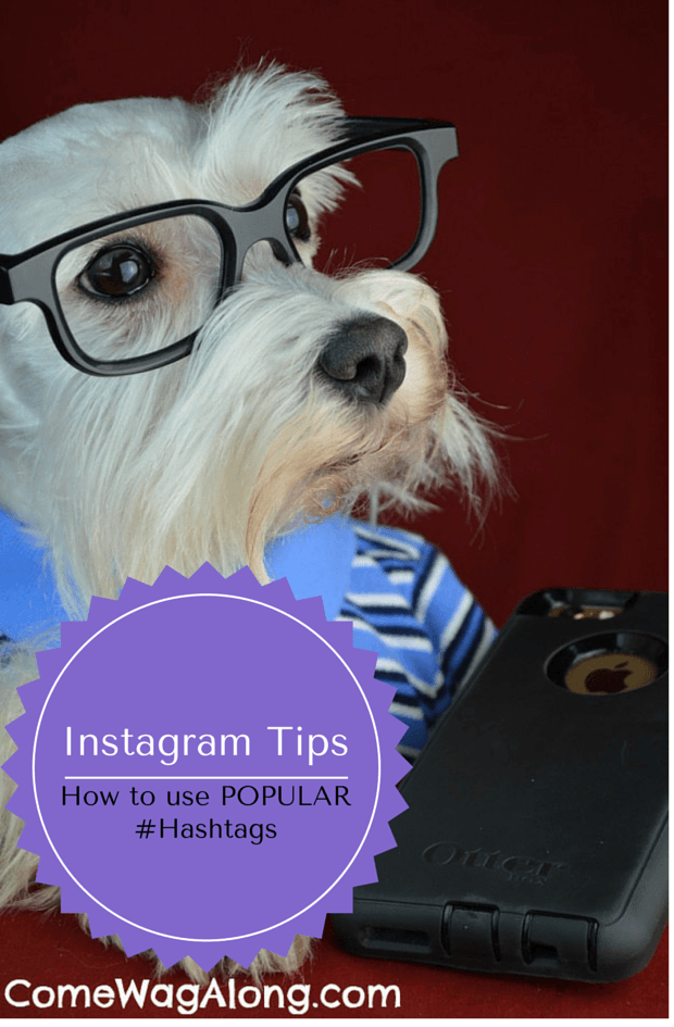 instagram tips - popular hashtags on instagram