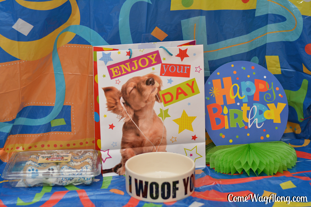 dog birthday gift ideas