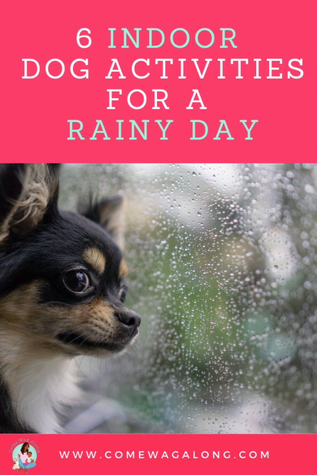 6 Indoor Dog Activities For a Rainy Day: Find things for your dog to do when it's bad weather or simply just stuck in the house with your or home alone - comewagalong.com