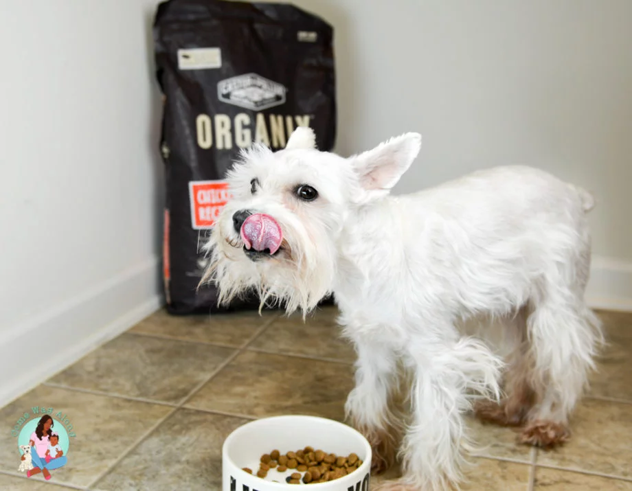 organix castor pollux dog food
