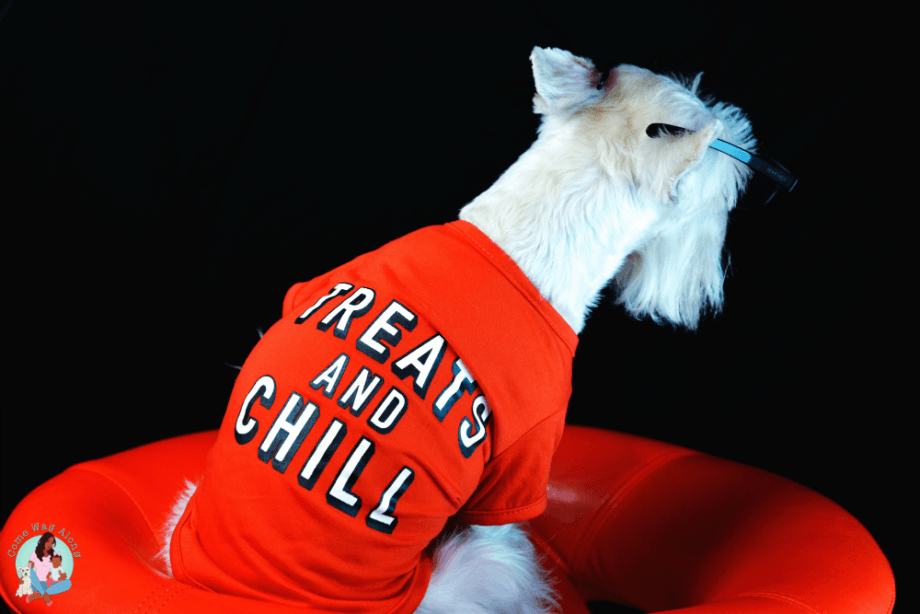 treats and chill dog graphic tee