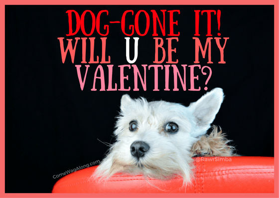 Free Printable Valentine S Day Cards For Dog Lovers Come Wag Along