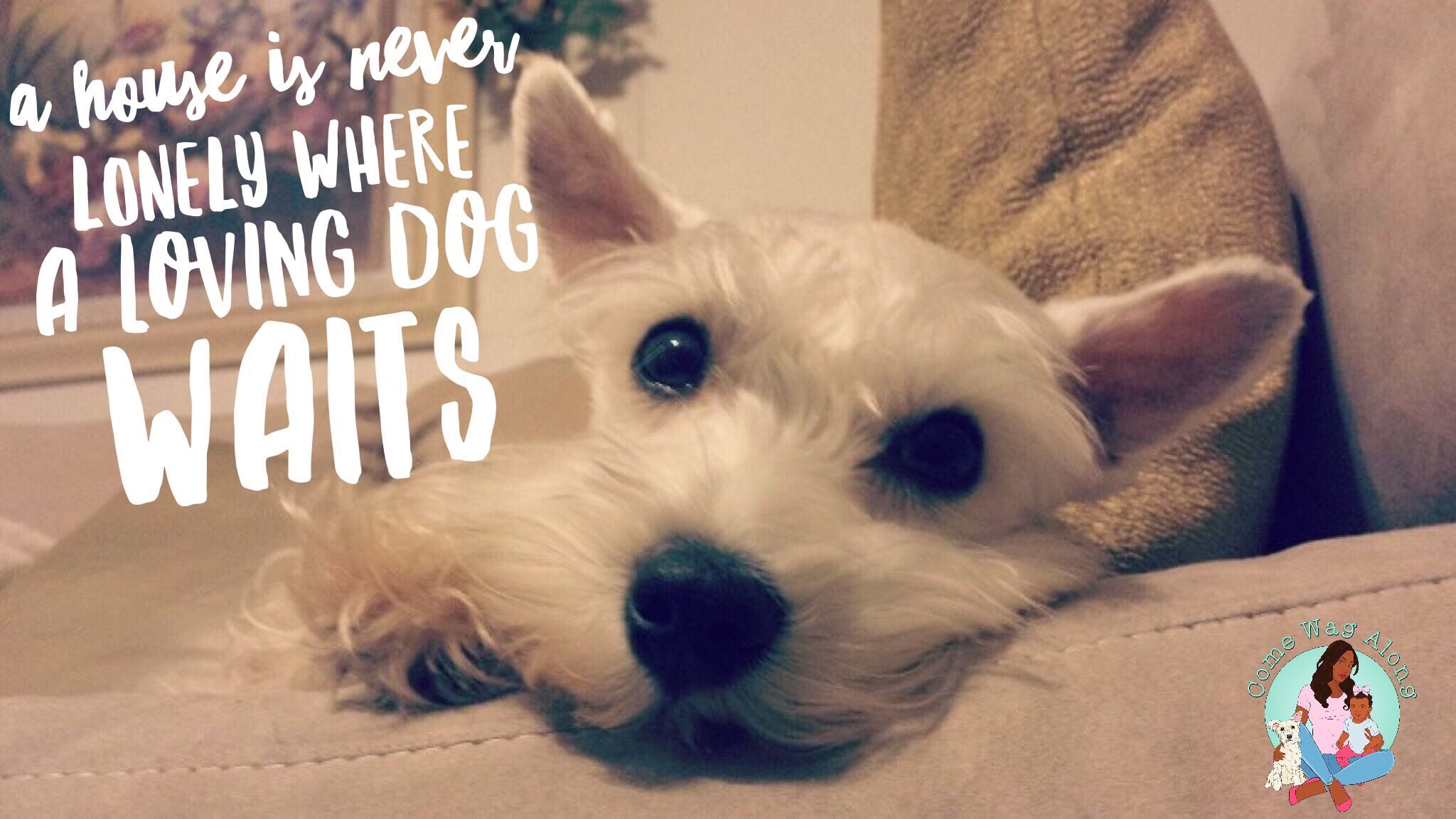 Dog Quotes for Dog Lovers - Come Wag Along