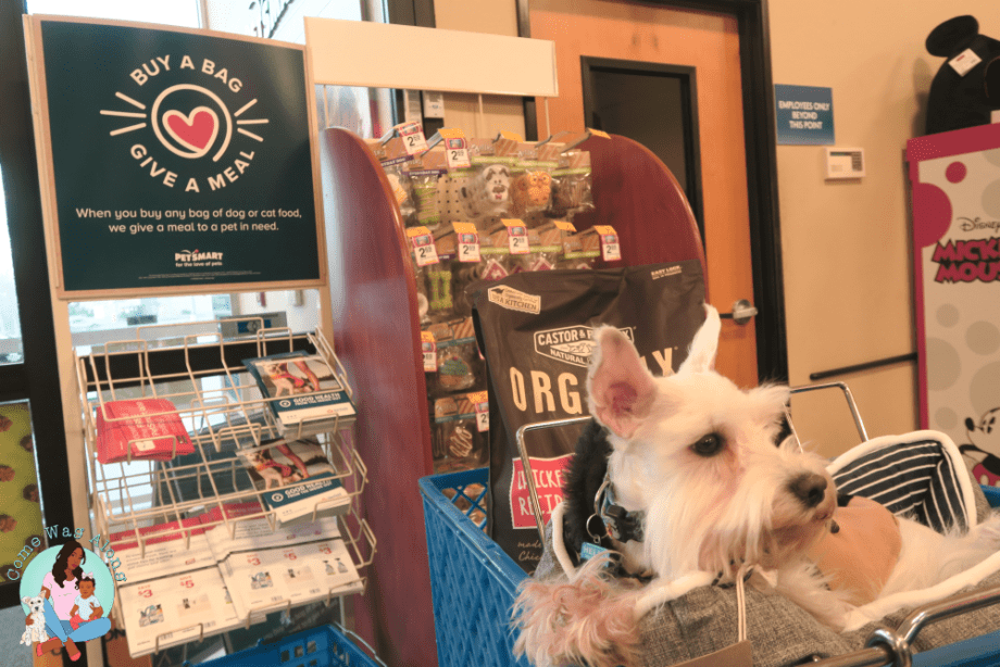 Help Pets in Need with PetSmart Come Wag Along