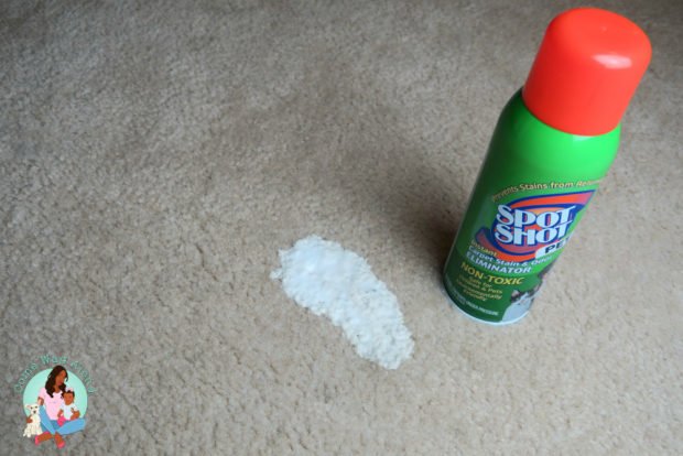Spot Shot Pet Instant Carpet Stain Remover
