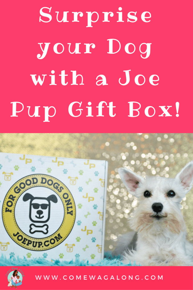 Surprise Your Dog with a Joe Pup Gift Box - ComeWagAlong.com