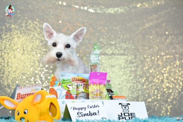 Joe Pup Monthly Dog Subscription box - ComeWagAlong.com