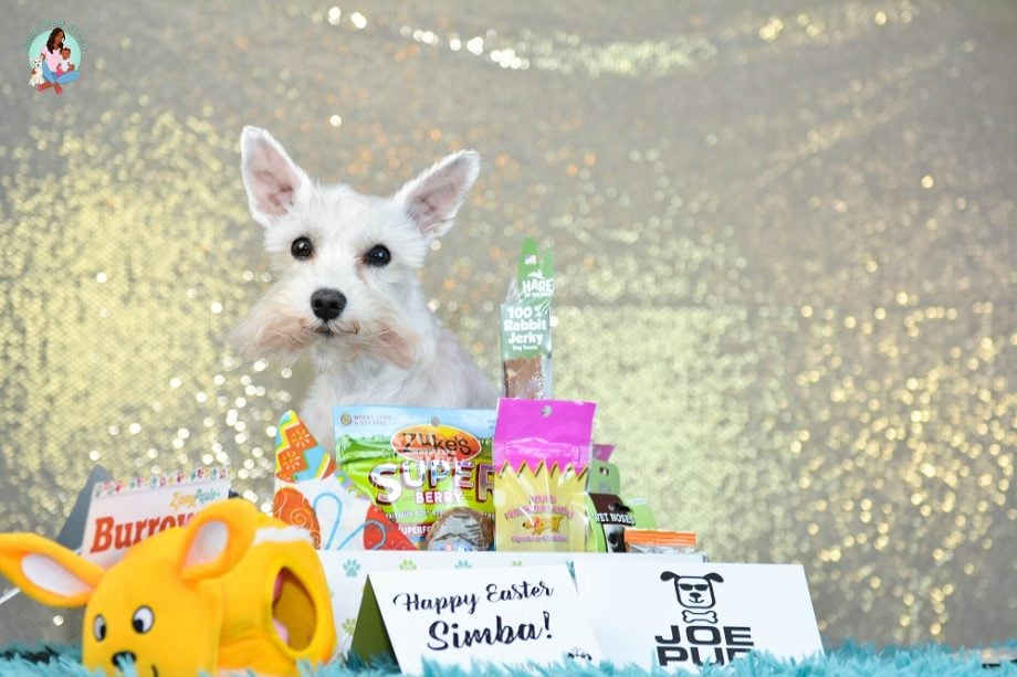 Joe Pup Monthly Dog Subscription box - ComeWagAlong.com