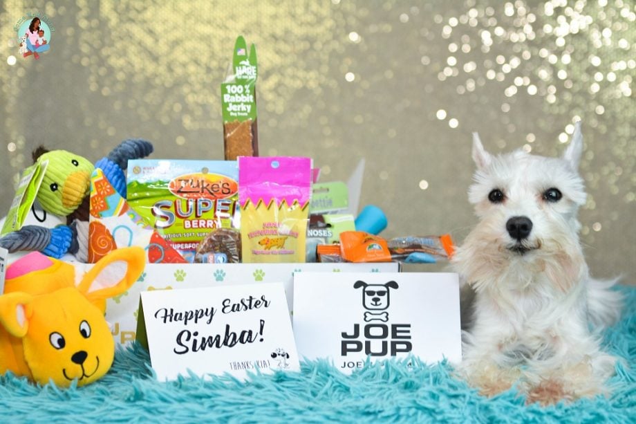Surprise your Dog with Joe Pup + Unboxing & Coupon Code - ComeWagAlong.com