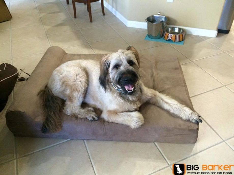 Big Barker Dog Beds - Joint Care for Dogs