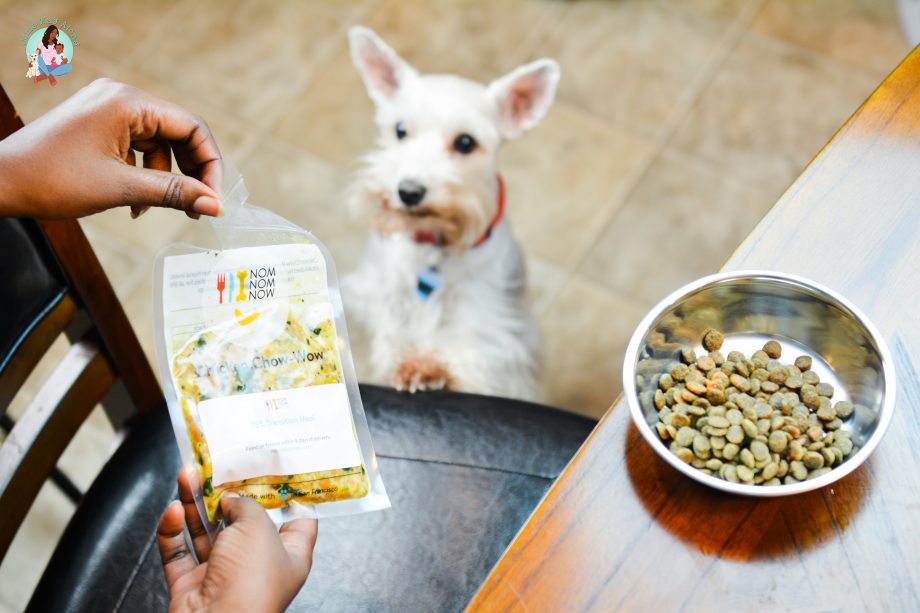 Get Fresh Dog Food Delivered to Your Door with NomNomNow Come Wag Along