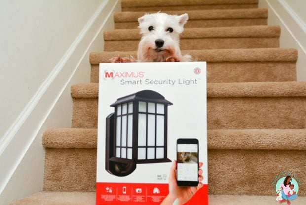 Maximus Smart Security Light - Watch Pets
