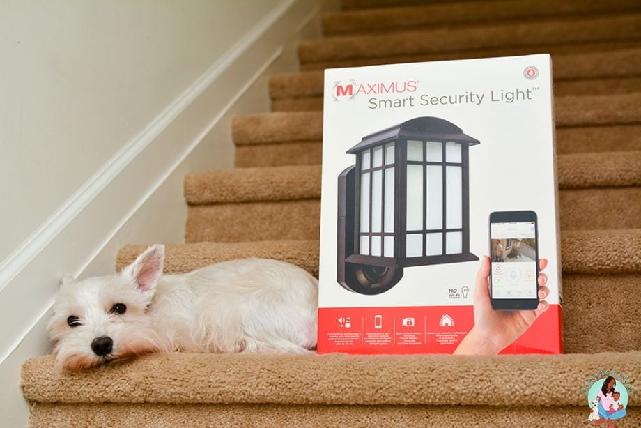 Smart Security Light - Home Security