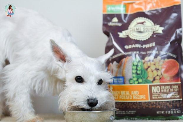 Supreme Source Pet Food 10 Day Detox Experience