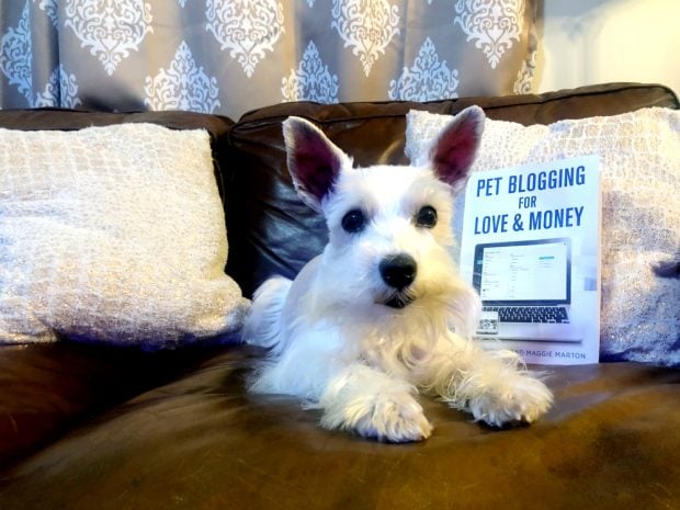 Pet Blogging for Love and Money