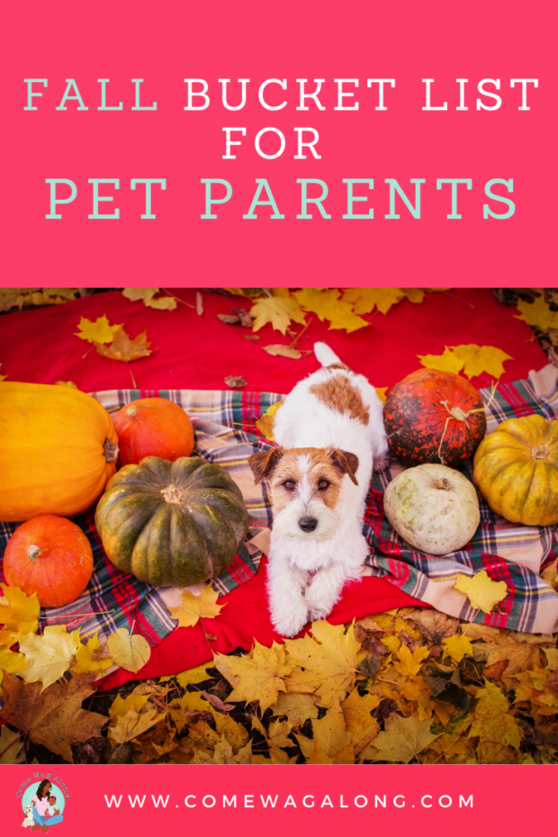 Fall Bucket List for Pet Parents - ComeWagAlong.com