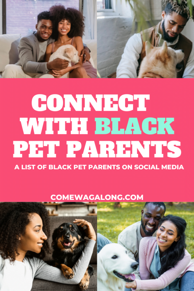 Connect with Black pet parents on social media. Here's a list! - ComeWagAlong.com