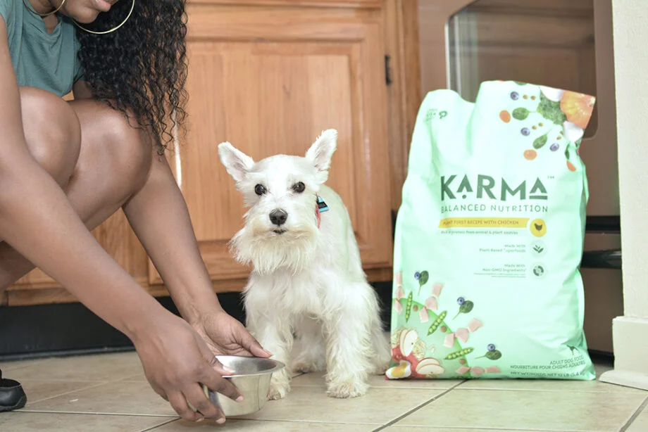 Feeding Karma Dog Food